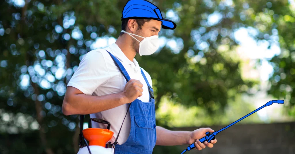 pest inspections sydney