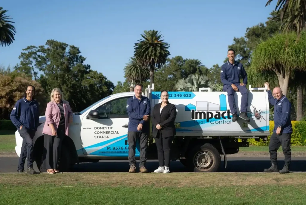 best pest control Sydney