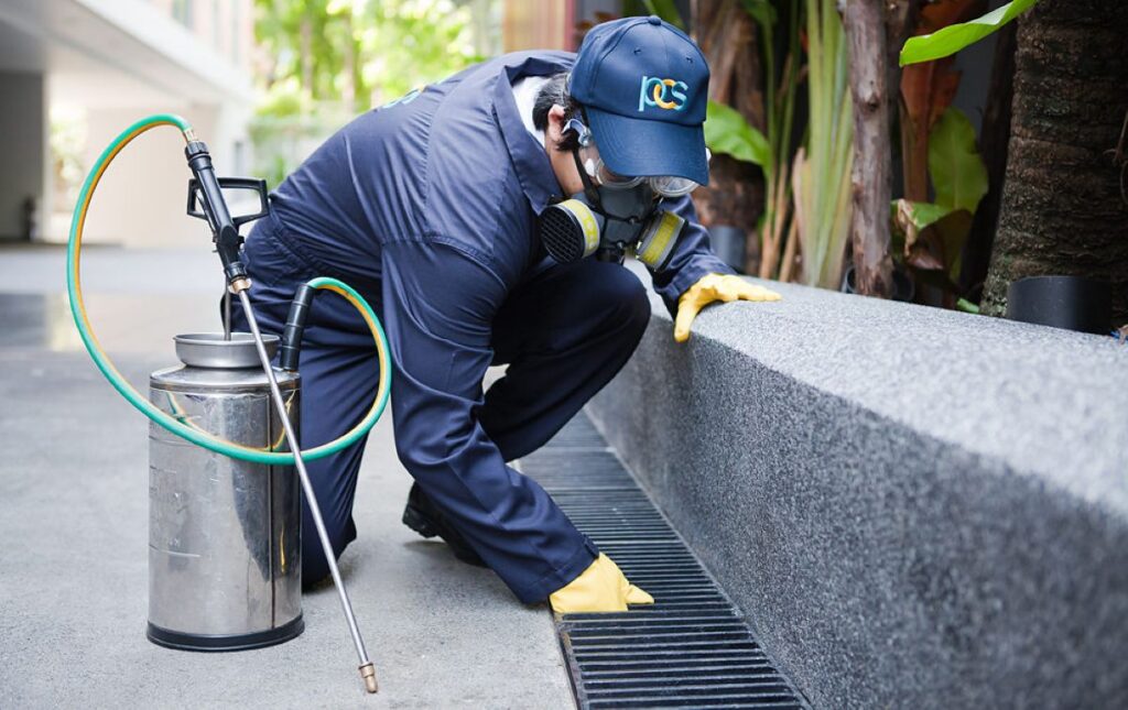 pest inspections sydney