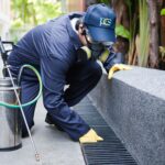 pest inspections sydney