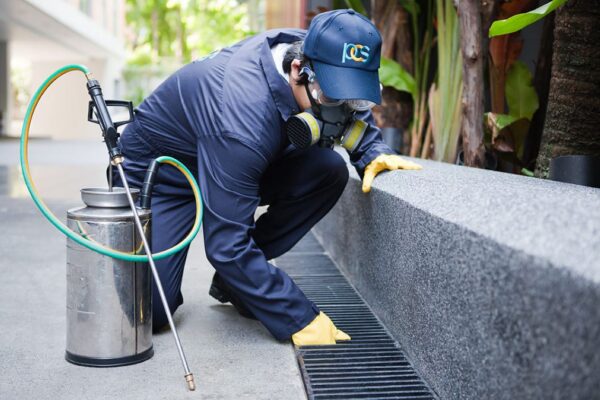 pest inspections sydney