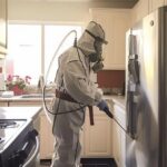 best pest control Sydney