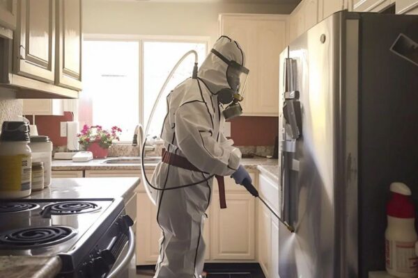 best pest control Sydney