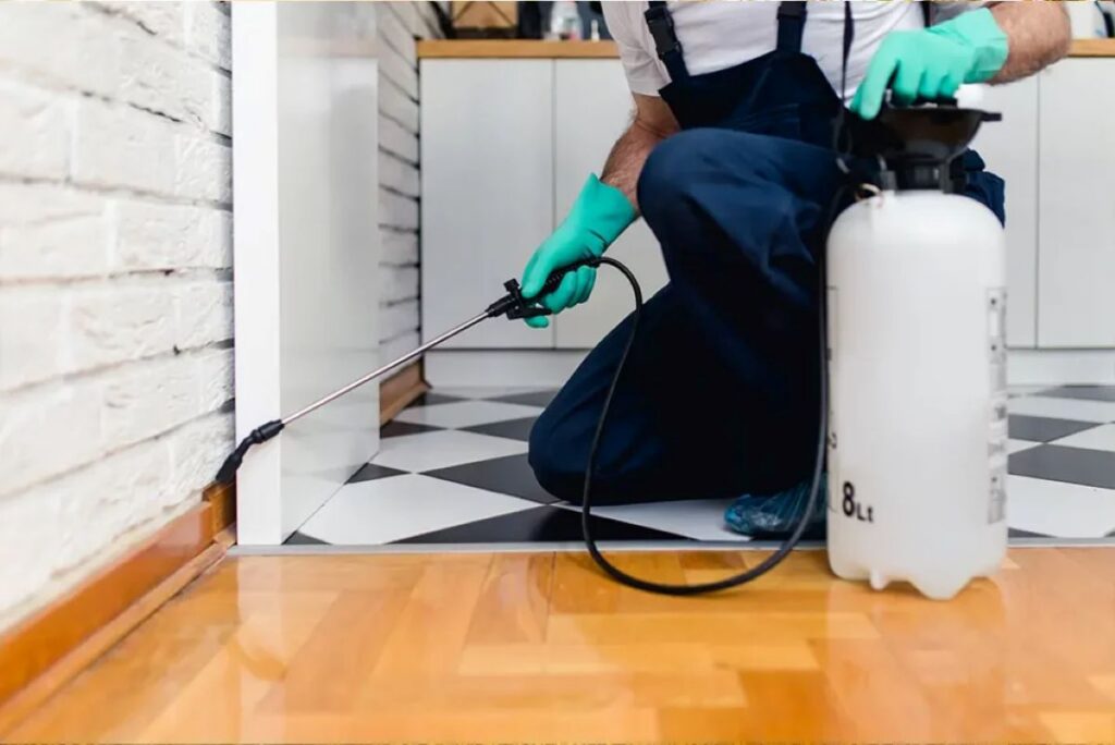 sydney rat pest control