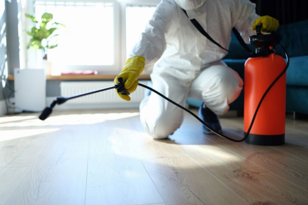 pest inspections sydney